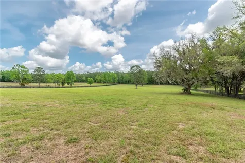 Tbd Highway 329 Reddick FL 32686