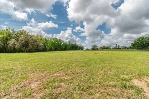 Tbd Highway 329 Reddick FL 32686