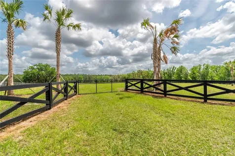 Tbd Highway 329 Reddick FL 32686