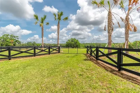 Tbd Highway 329 Reddick FL 32686