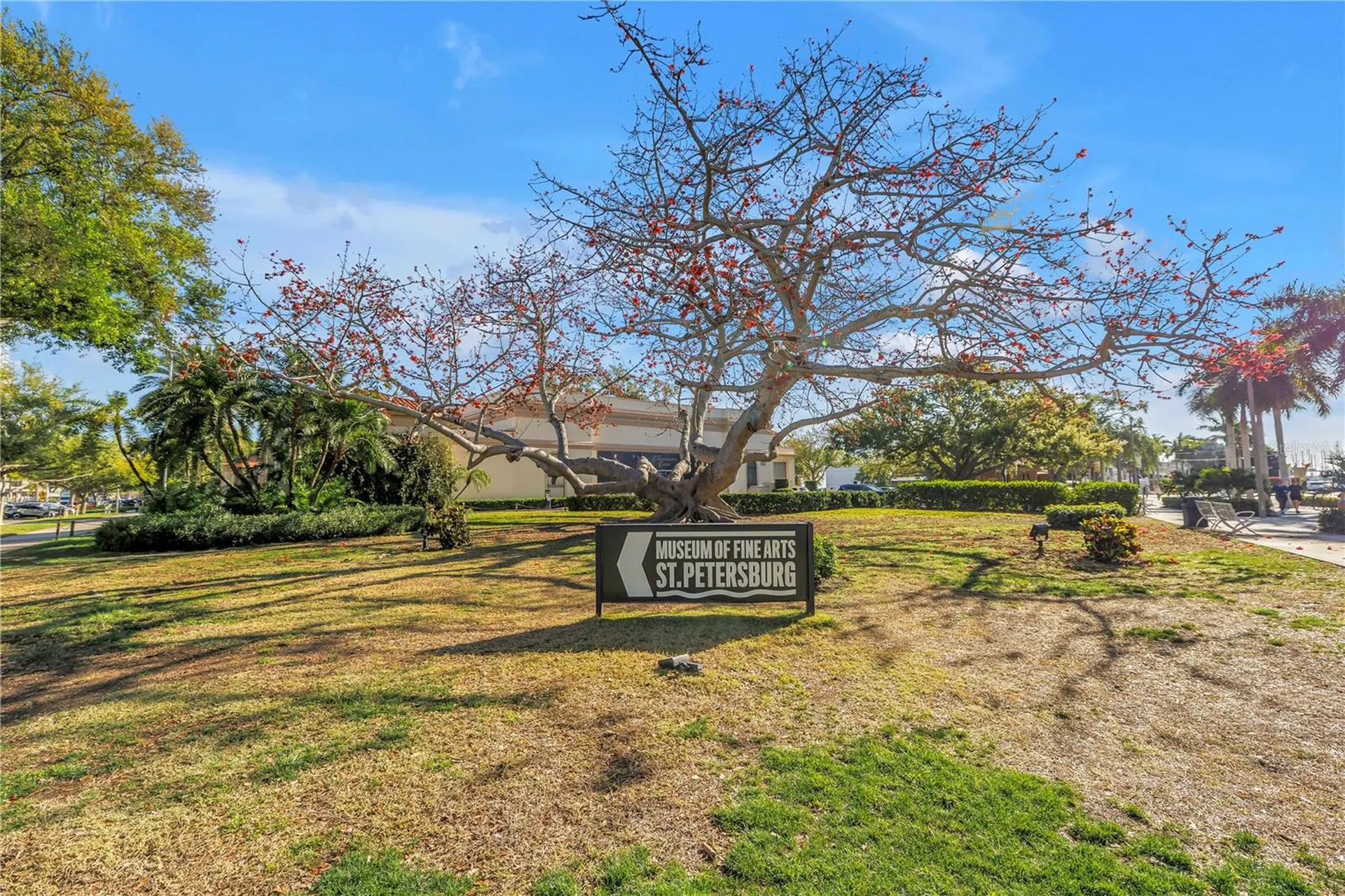 224 6th Avenue N St Petersburg FL 33701