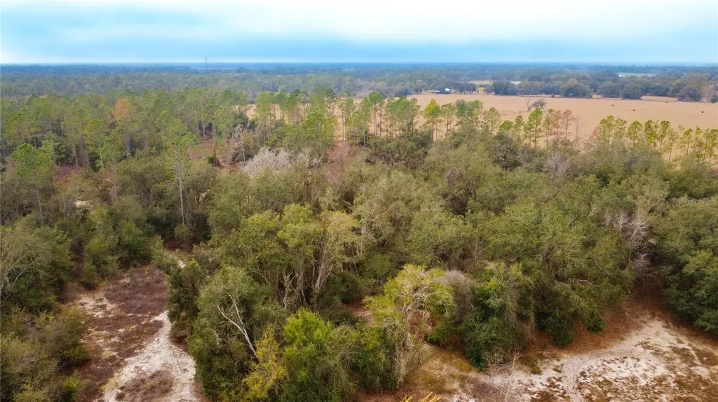 3230 Empire Church Road Groveland FL 34736