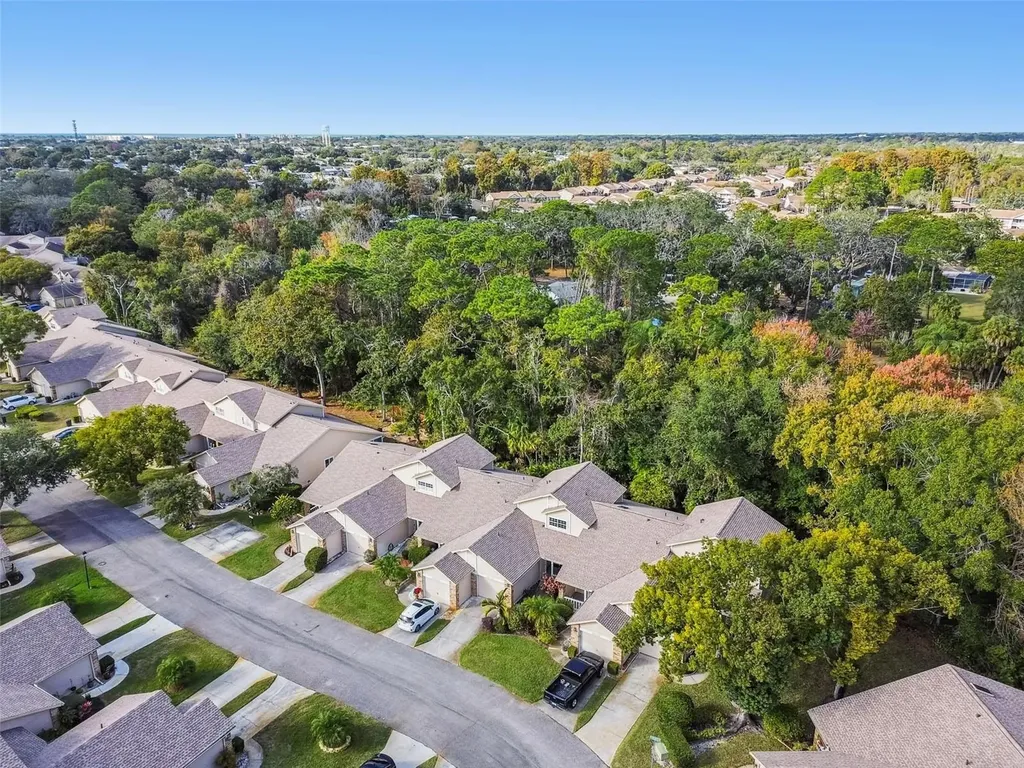 6531 Remus Drive New Port Richey FL 34653