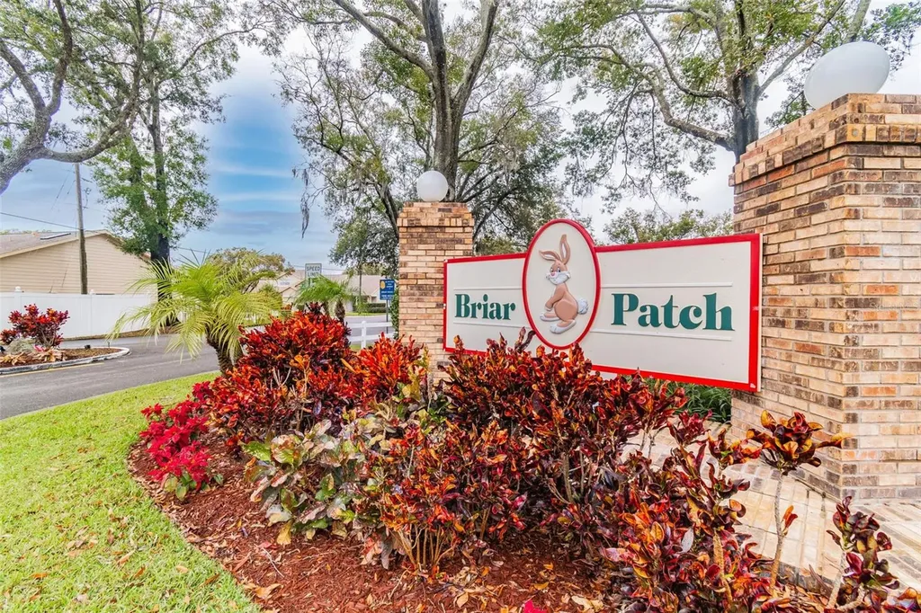 6531 Remus Drive New Port Richey FL 34653