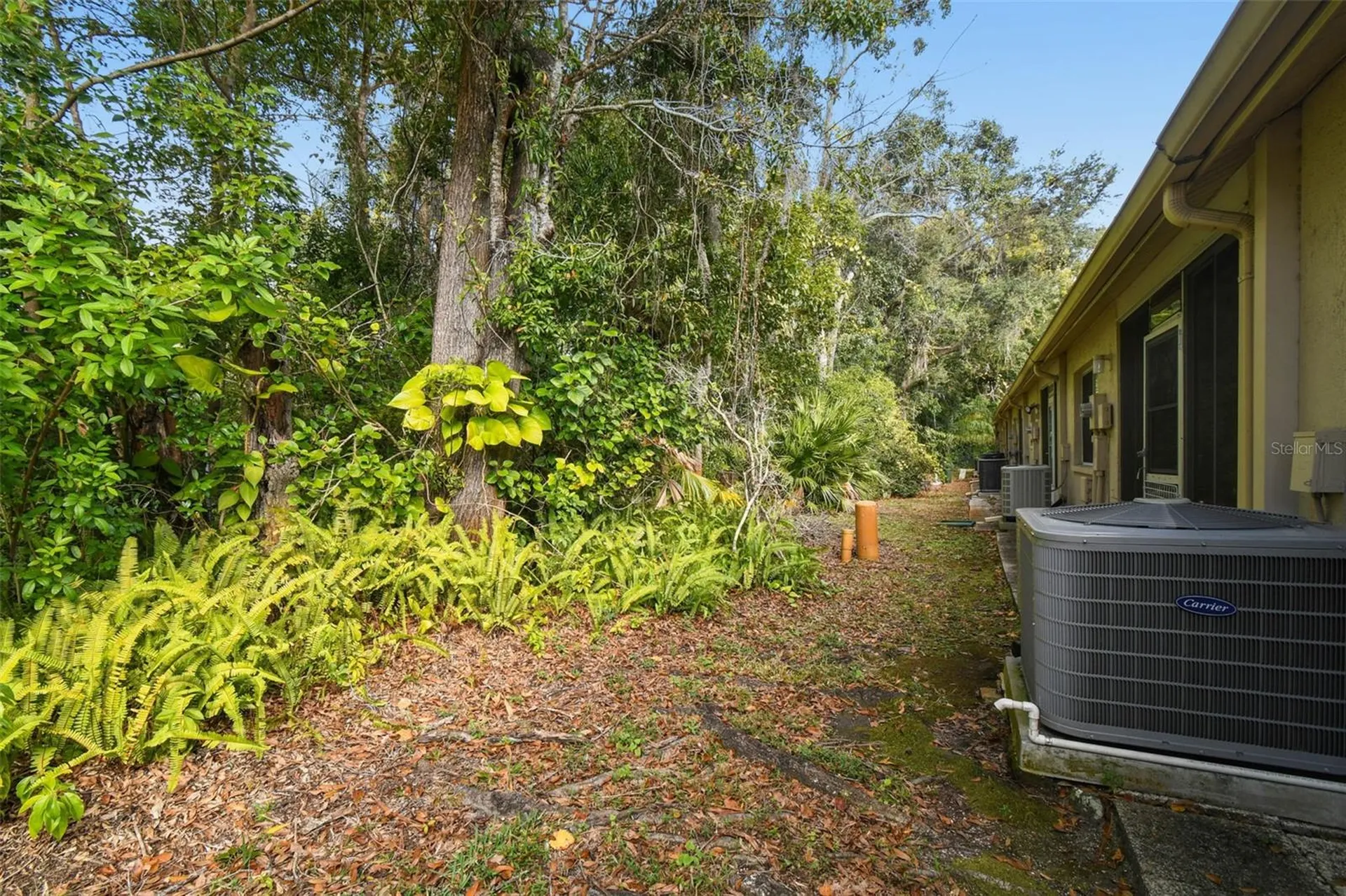 6531 Remus Drive New Port Richey FL 34653