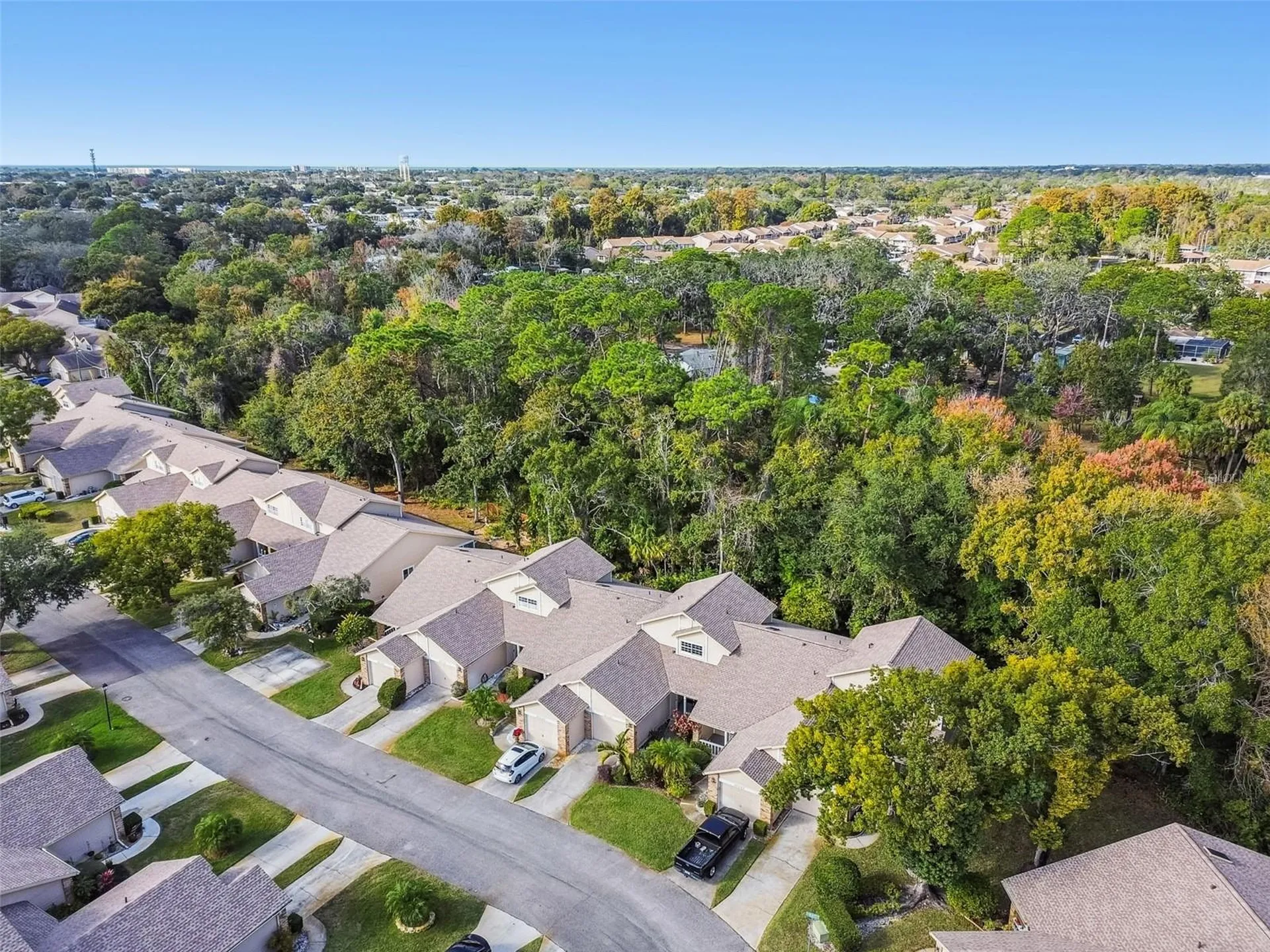 6531 Remus Drive New Port Richey FL 34653