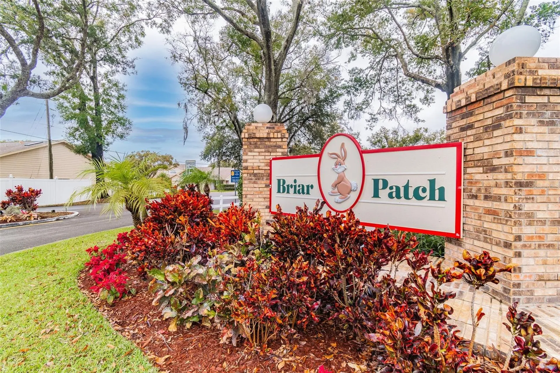 6531 Remus Drive New Port Richey FL 34653