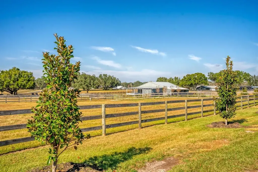 15305 NW 112th Place Road Morriston FL 32668