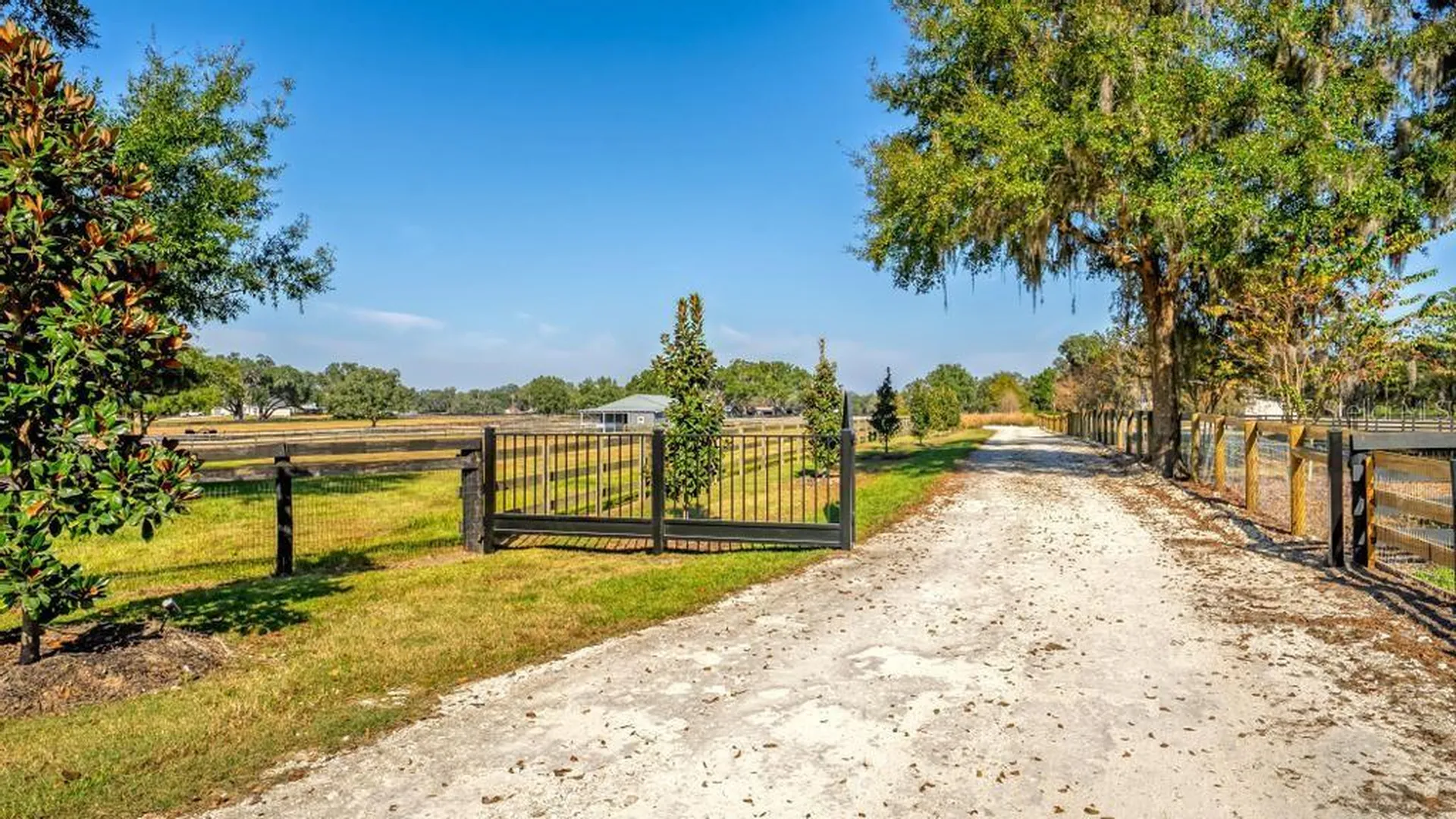 15305 NW 112th Place Road Morriston FL 32668