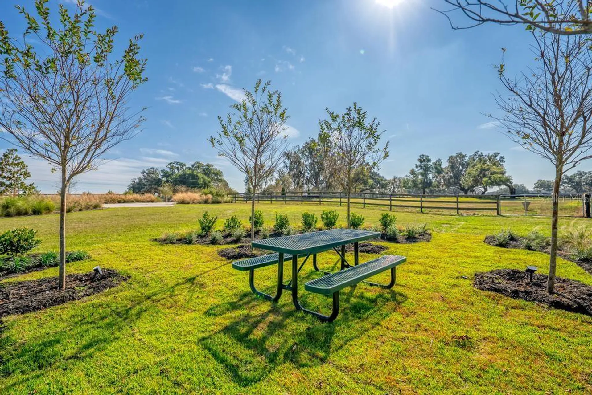 15305 NW 112th Place Road Morriston FL 32668