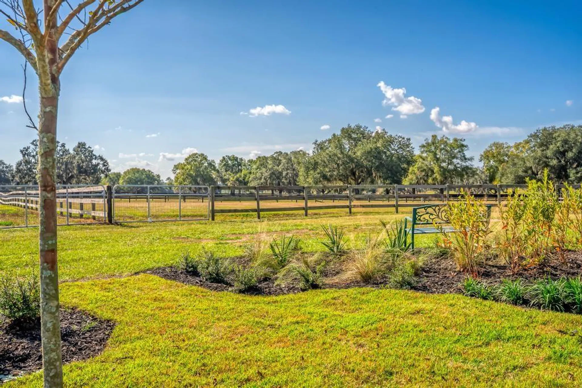 15305 NW 112th Place Road Morriston FL 32668