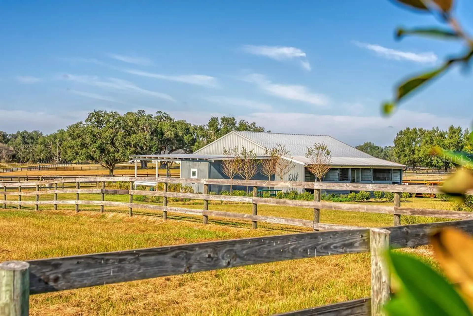 15305 NW 112th Place Road Morriston FL 32668
