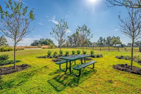 15305 NW 112th Place Road Morriston FL 32668