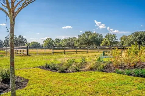 15305 NW 112th Place Road Morriston FL 32668