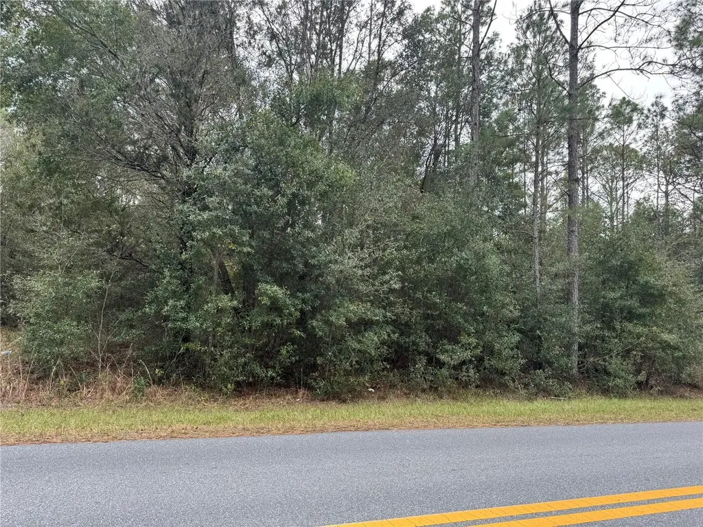 SW Beach Boulevard Dunnellon FL 34431