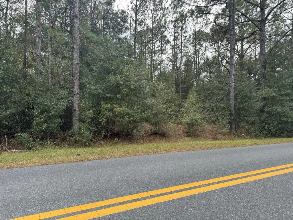 SW Beach Boulevard Dunnellon FL 34431