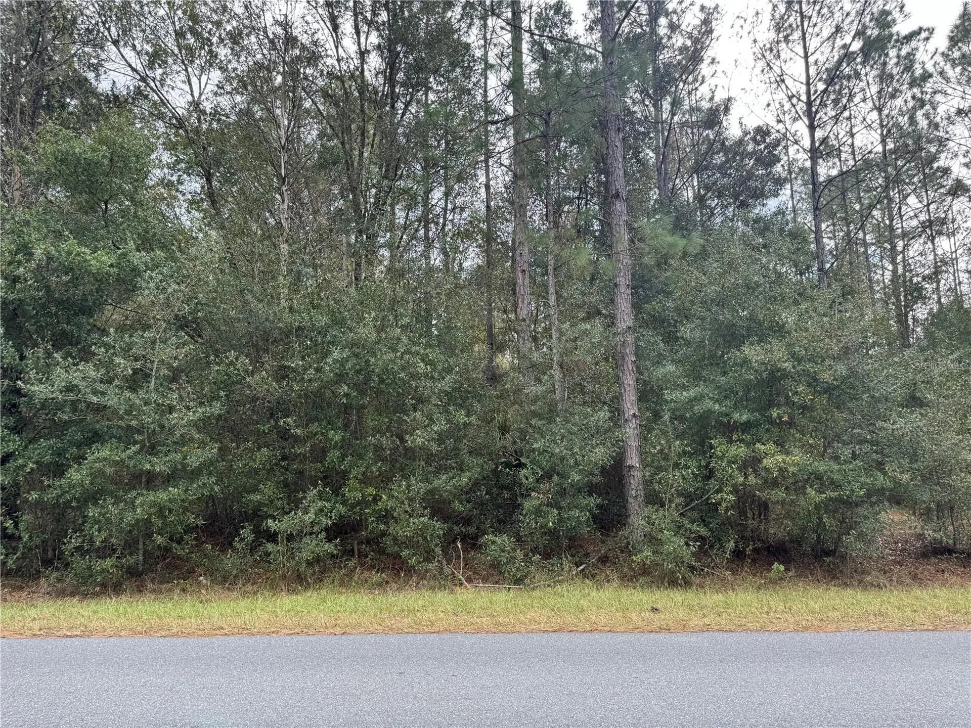 SW Beach Boulevard Dunnellon FL 34431