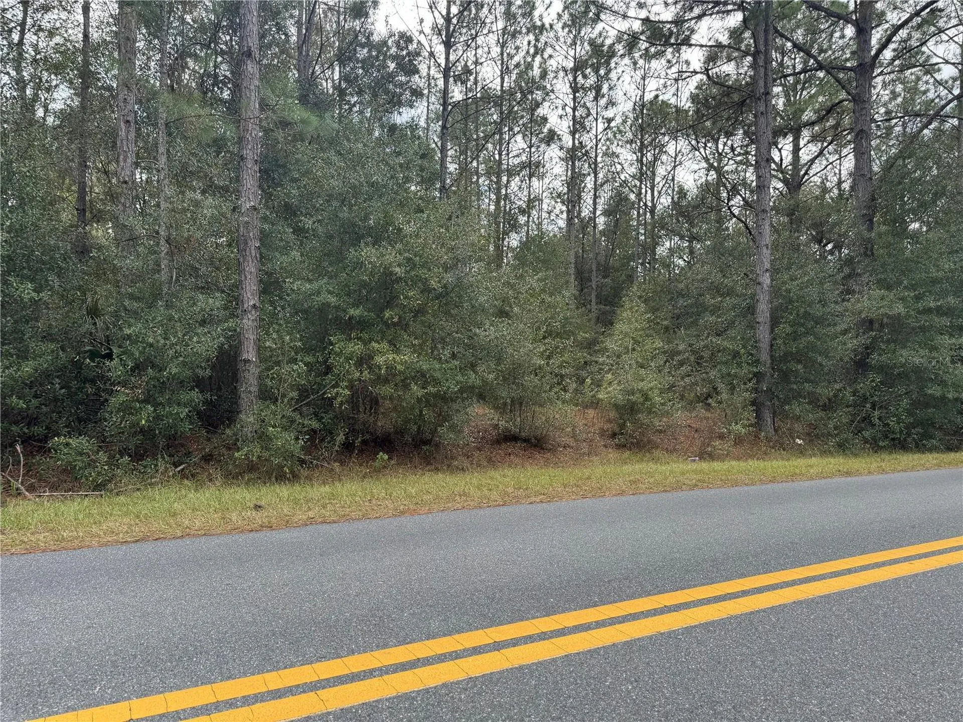 SW Beach Boulevard Dunnellon FL 34431