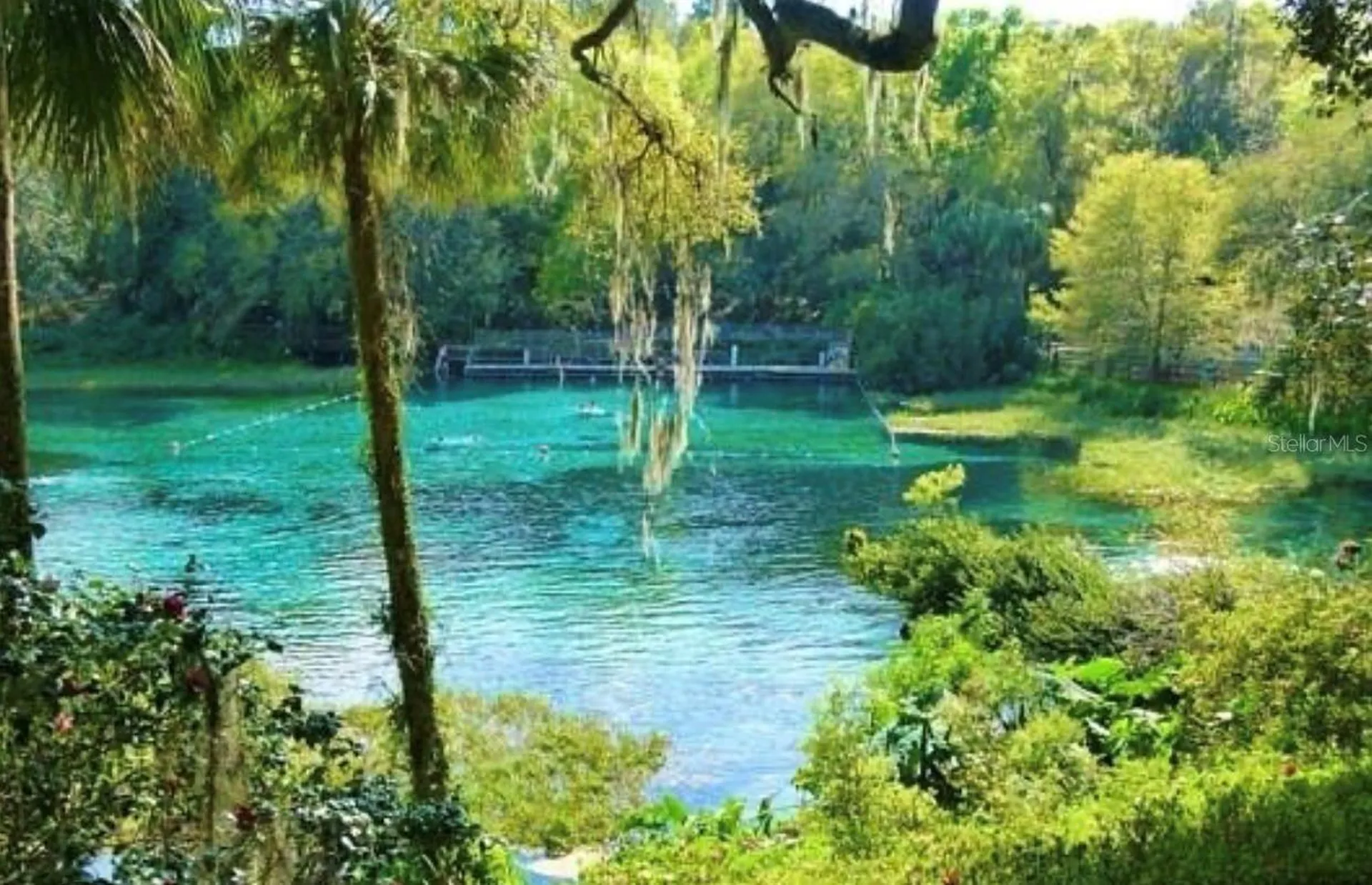 SW Beach Boulevard Dunnellon FL 34431