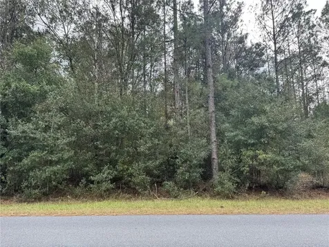SW Beach Boulevard Dunnellon FL 34431