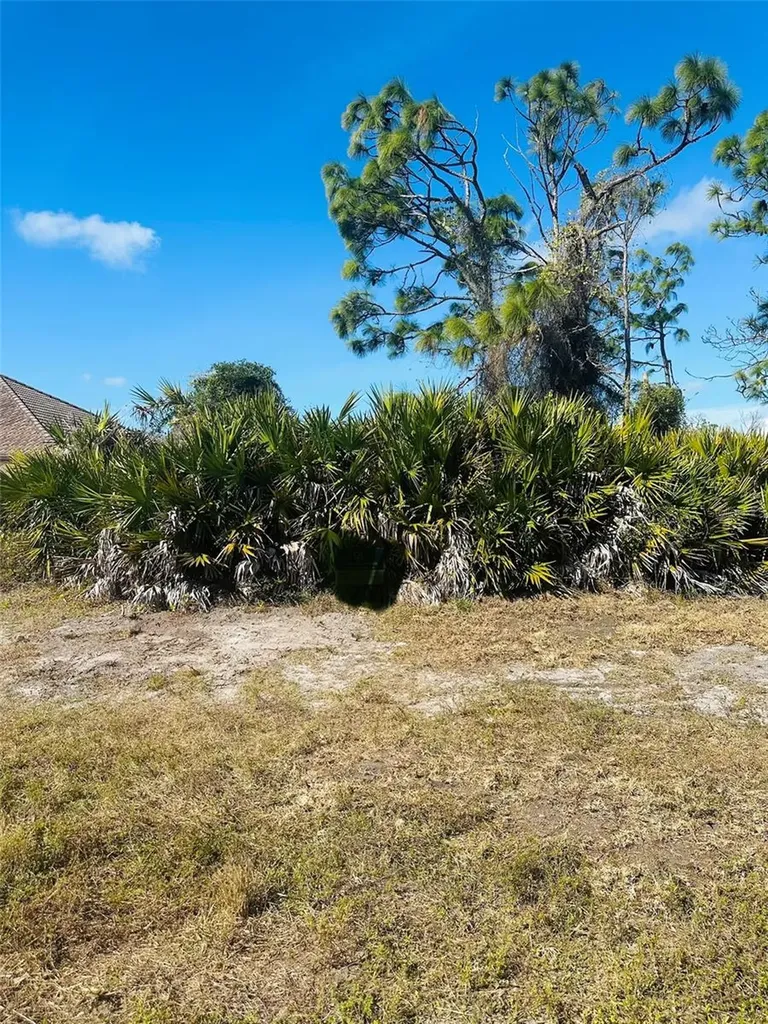 11 Medalist Way Rotonda West FL 33947