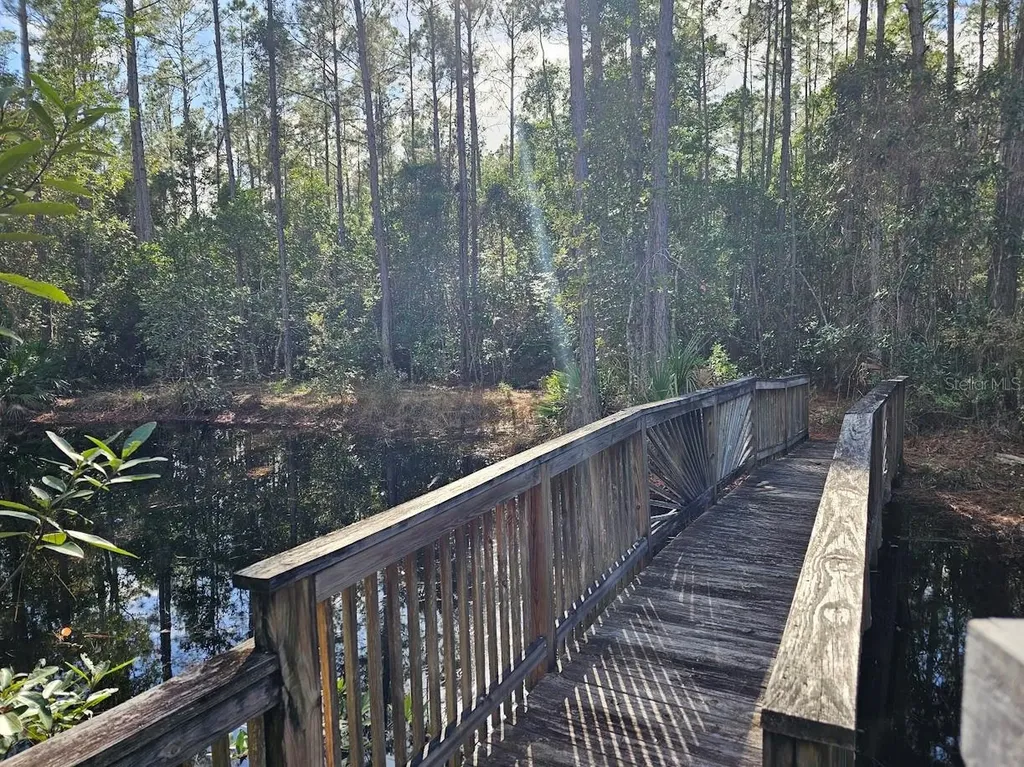 804 Shell Harbor Road Pierson FL 32180