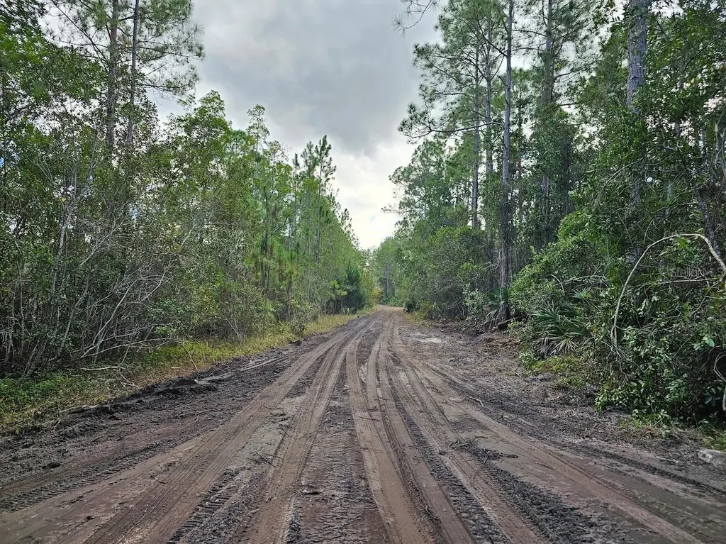 804 Shell Harbor Road Pierson FL 32180