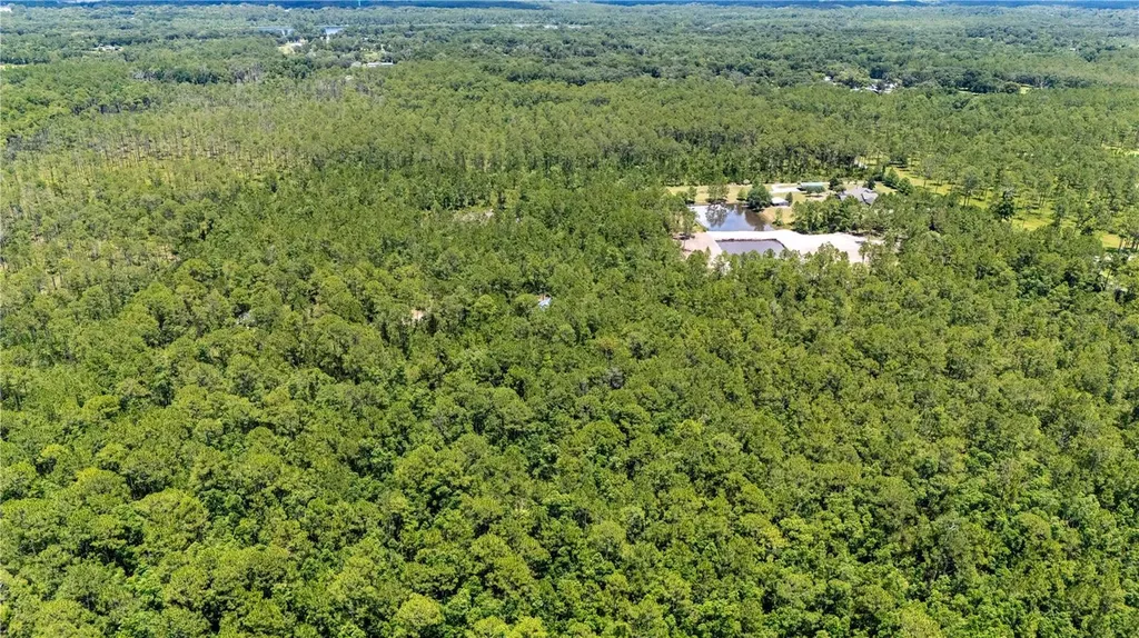 804 Shell Harbor Road Pierson FL 32180