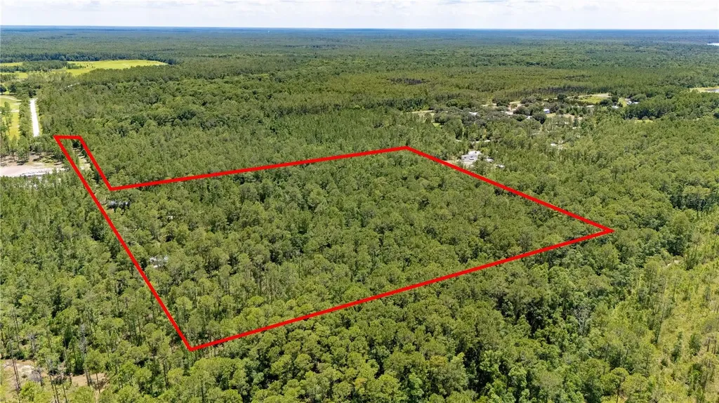 804 Shell Harbor Road Pierson FL 32180