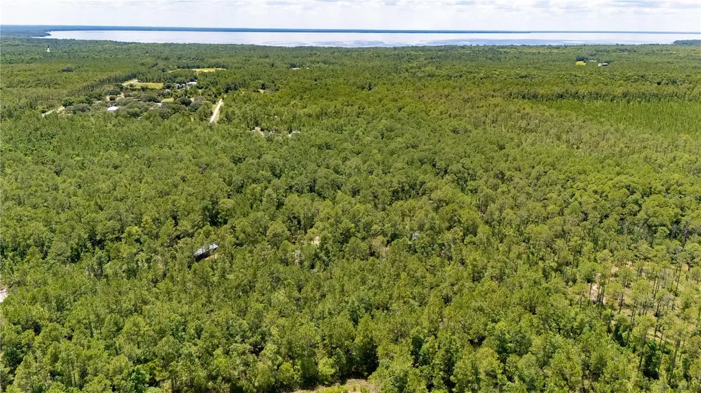 804 Shell Harbor Road Pierson FL 32180