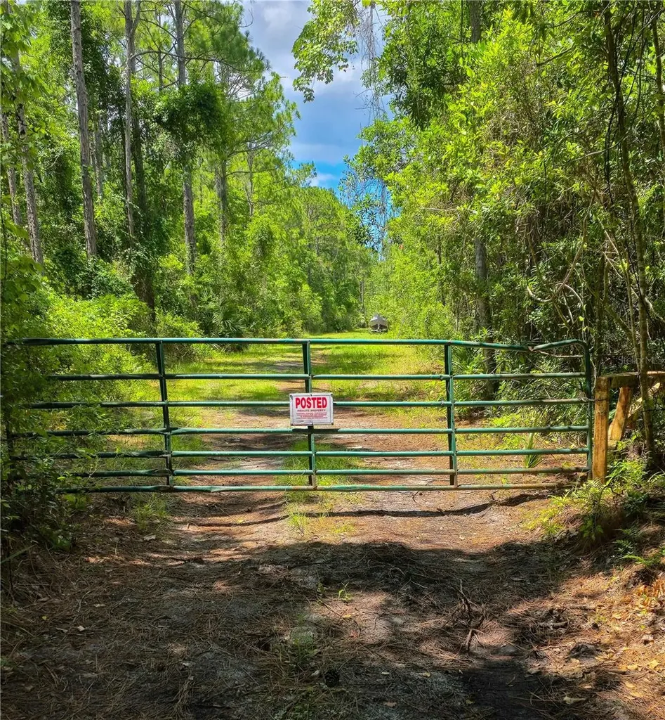 804 Shell Harbor Road Pierson FL 32180