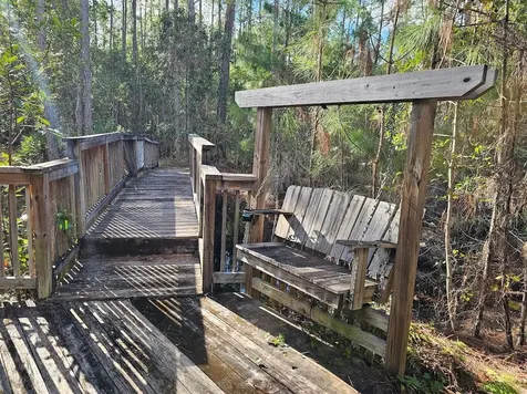 804 Shell Harbor Road Pierson FL 32180