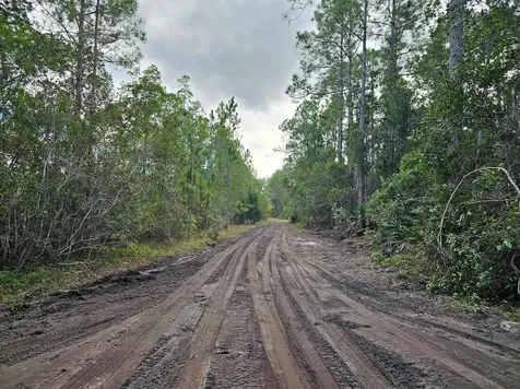 804 Shell Harbor Road Pierson FL 32180
