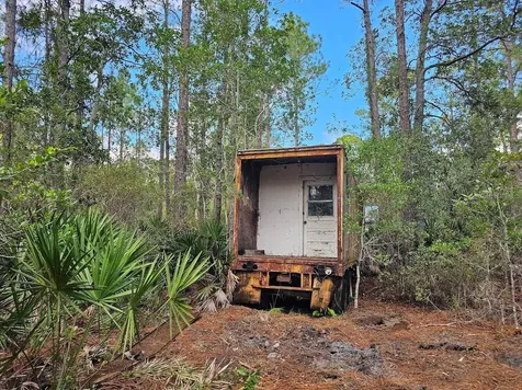 804 Shell Harbor Road Pierson FL 32180