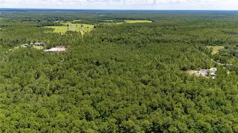 804 Shell Harbor Road Pierson FL 32180