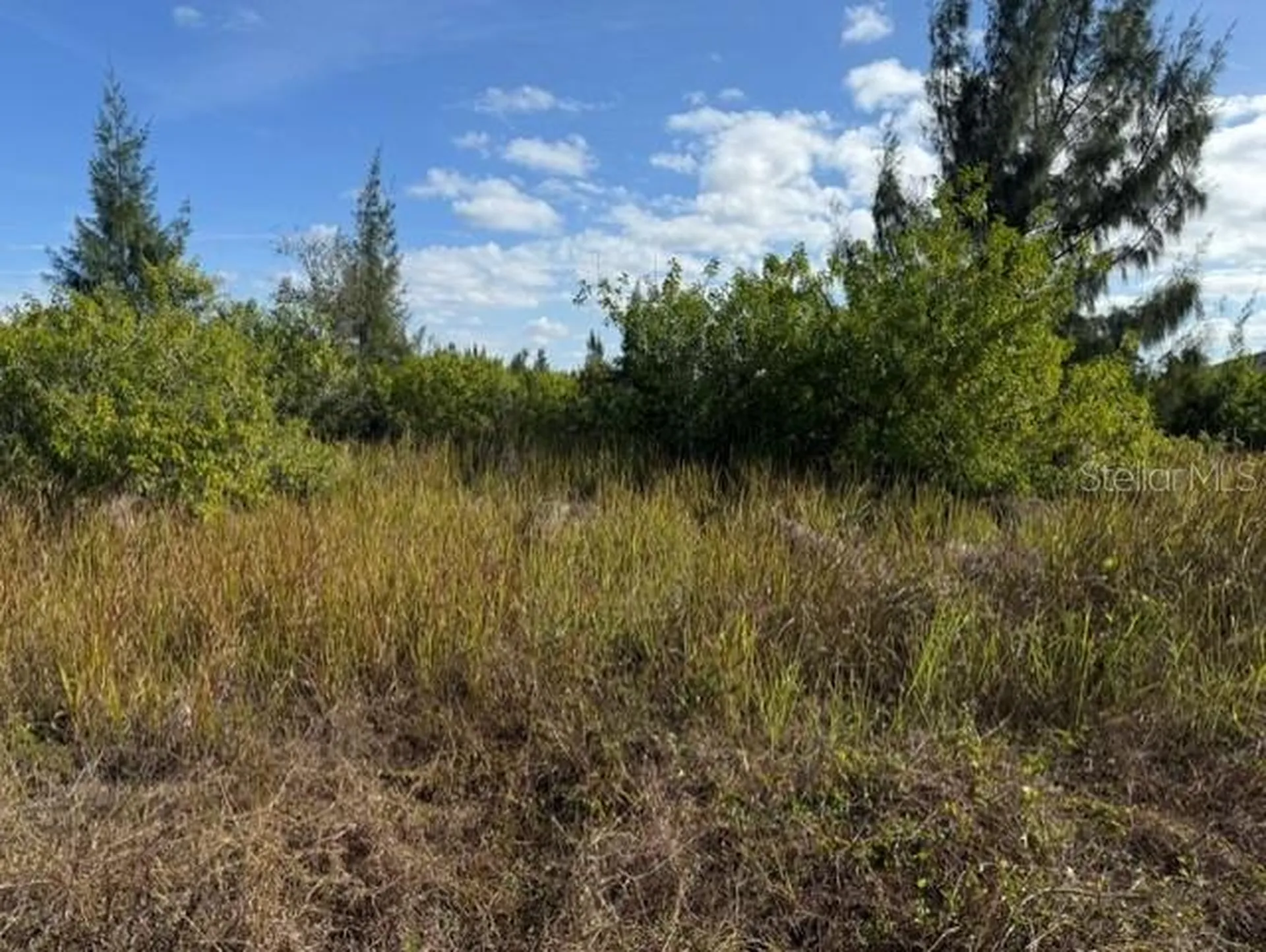 15309 Taurus Circle Port Charlotte FL 33981