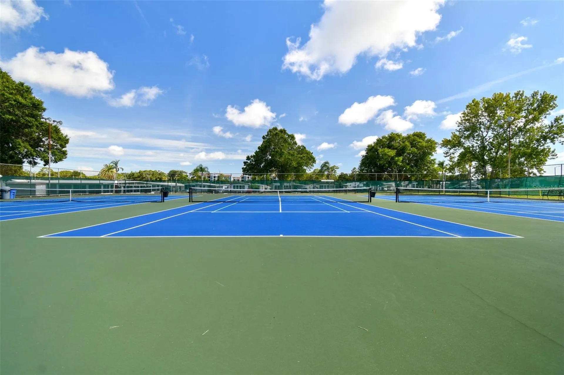 86 Pindo Palm Street W Largo FL 33770
