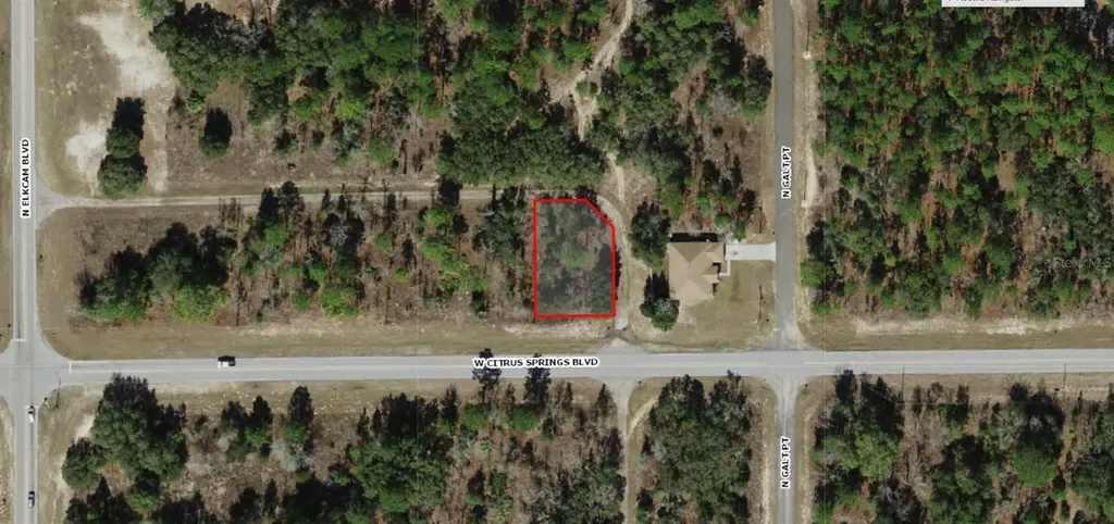 2565 W Citrus Springs Boulevard Citrus Springs FL 34434