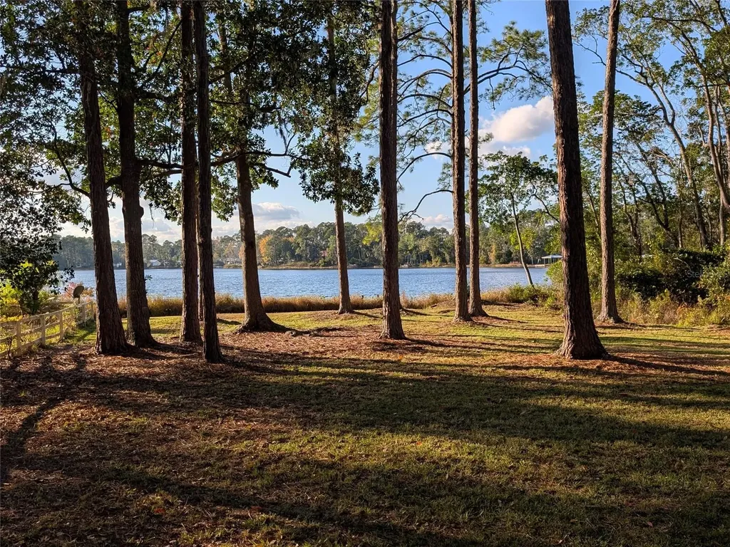161 Riley Lake Drive Hawthorne FL 32640