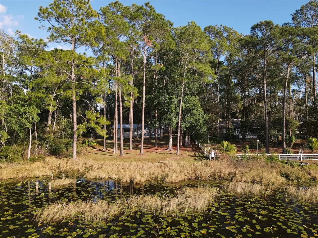 161 Riley Lake Drive Hawthorne FL 32640
