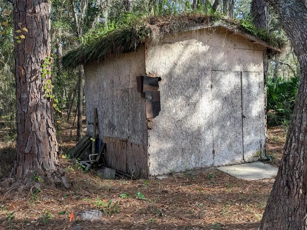 161 Riley Lake Drive Hawthorne FL 32640