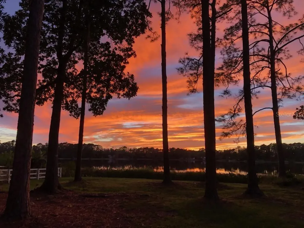 161 Riley Lake Drive Hawthorne FL 32640