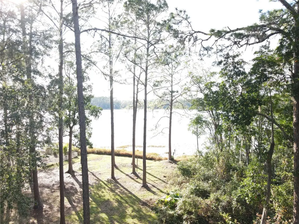 161 Riley Lake Drive Hawthorne FL 32640