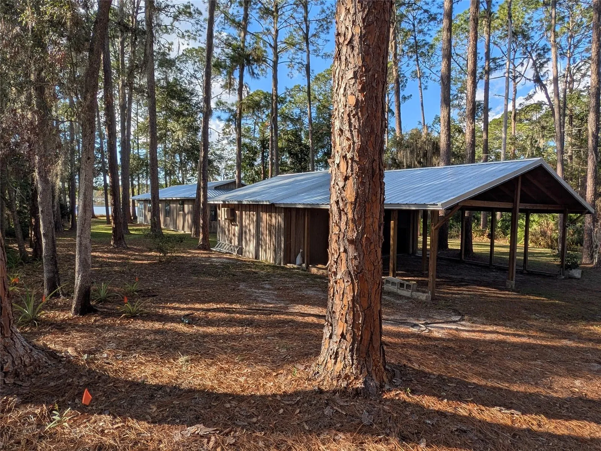161 Riley Lake Drive Hawthorne FL 32640