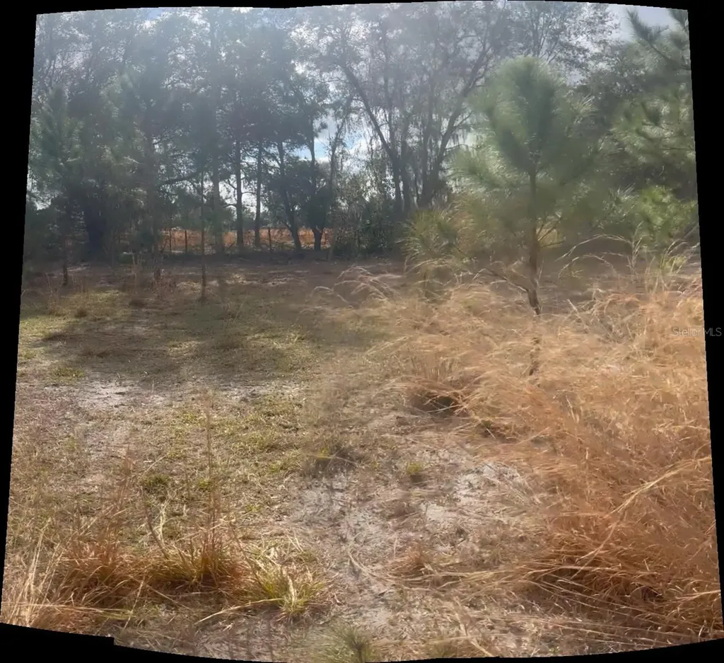44750 Misty Isle Drive Deland FL 32720