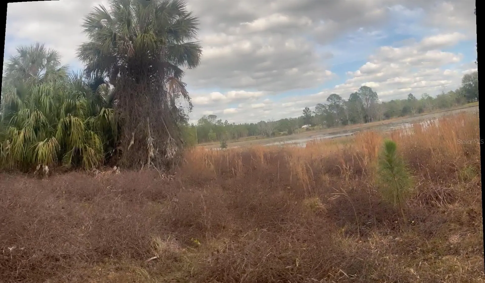 44750 Misty Isle Drive Deland FL 32720
