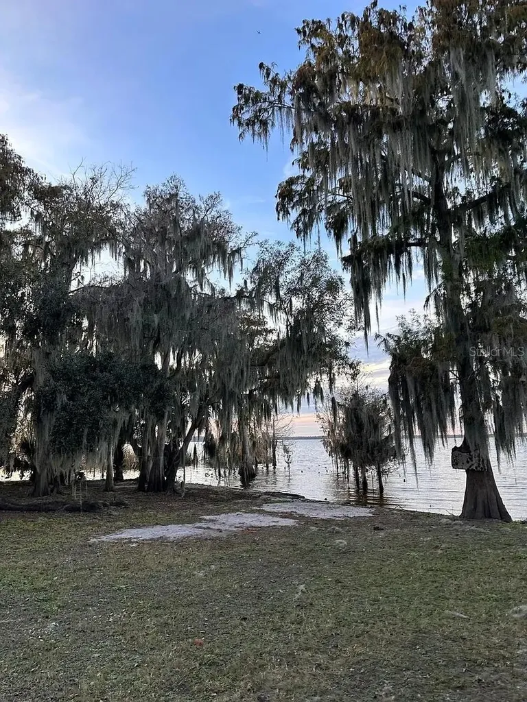 1954 Boat Club Road Oviedo FL 32765