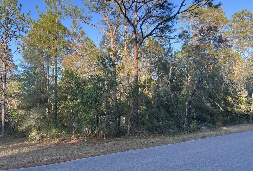Lot 4+ Blair Avenue Brooksville FL 34604