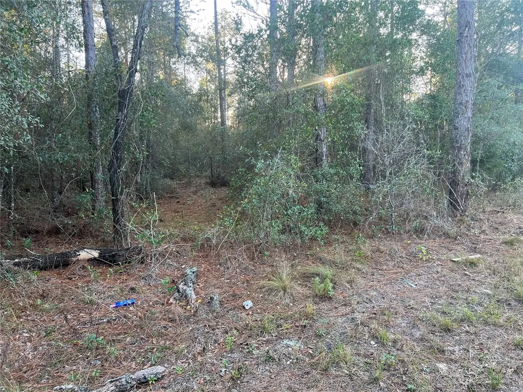 Lot 4+ Blair Avenue Brooksville FL 34604