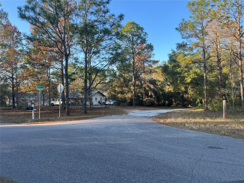 Lot 4+ Blair Avenue Brooksville FL 34604